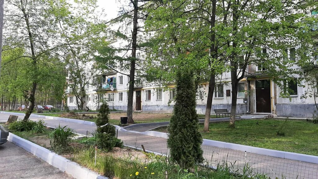 Пни-13 ступино. Пни 13 ступино подвалы. Пни лужники. Пни-13 ступино. Пни лужники.