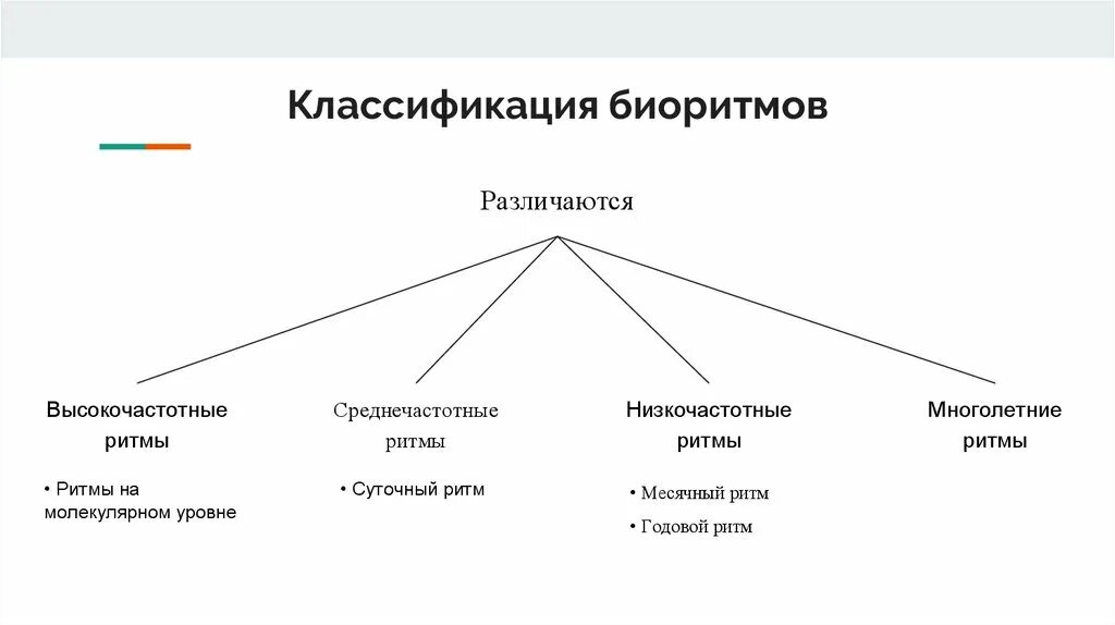 Биоритм значение. Биоритм значение
