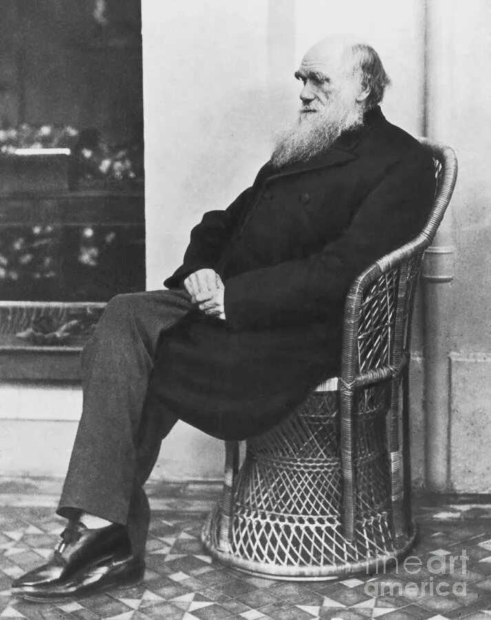 Дарвин это. Charles Darwin 1809-1882.