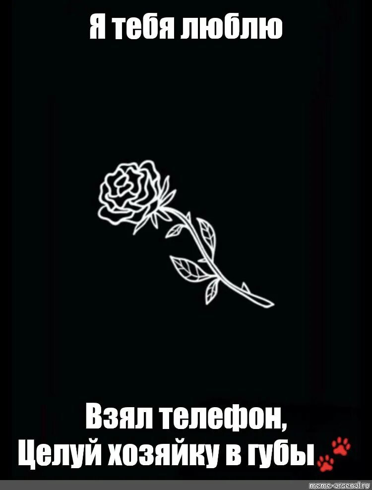 Не надо на телефон ничего. Обои взял телефон поцелуй хозяйку. Обои на телефон с надписью взял телефон целуй хозяйку. Надпись взял телефон целуй хозяйку. Кто взял мой телефон.