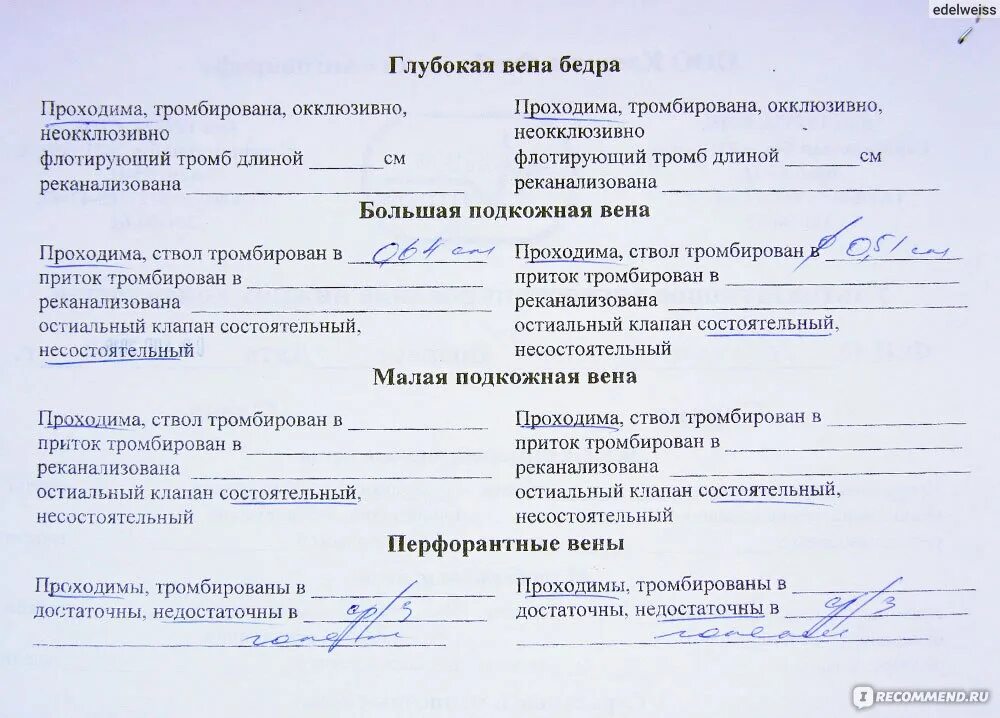 Узи вен перед операцией. УЗИ вен нижних конечностей заключение норма. Протокол УЗИ сосудов нижних конечностей норма. УЗДГ вен нижних конечностей заключение. Расшифровка УЗИ артерий нижних конечностей норма.