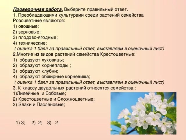 Контрольная по биологии семейства. Технические культуры семейства Розоцветные. Проверочная работа по семействам растений. Кроссворд на тему Розоцветные. Кроссворд семейство Розоцветные.