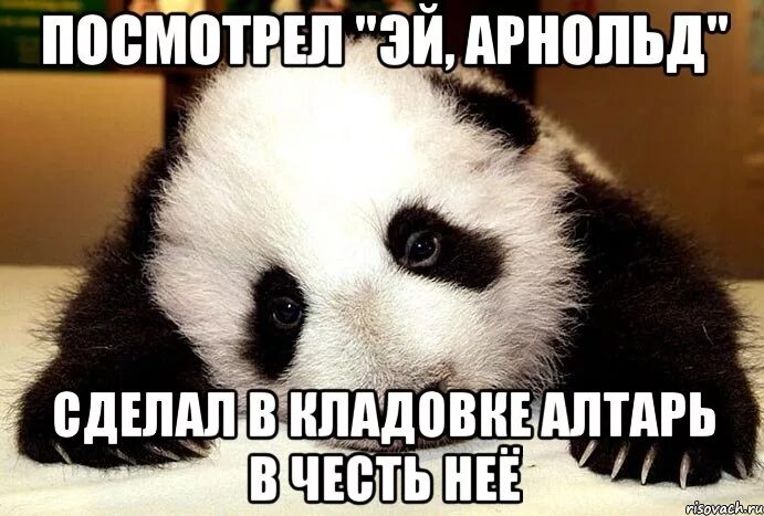 Мы с тобою как панда. Панда мемы. спокойной ночи панда с надписями. спокойной ночи панда смешные. ты моя панда.