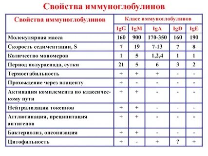 Масса иммуноглобулинов
