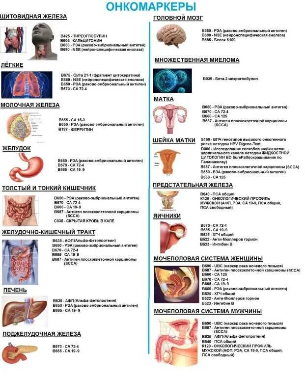 Анализ крови головного мозга. Онкомаркеры это какое исследование. Онкомаркеры таблица по органам. Общий онкомаркер на онкологию название. Анализ крови на онкологию щитовидной железы.