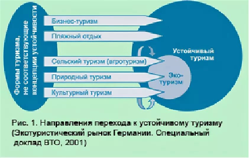 Виды устойчивого туризма. Виды устойчивого туризма. Концепция устойчивого туризма. Базовые принципы экологического туризма. Тренды на устойчивый туризм.