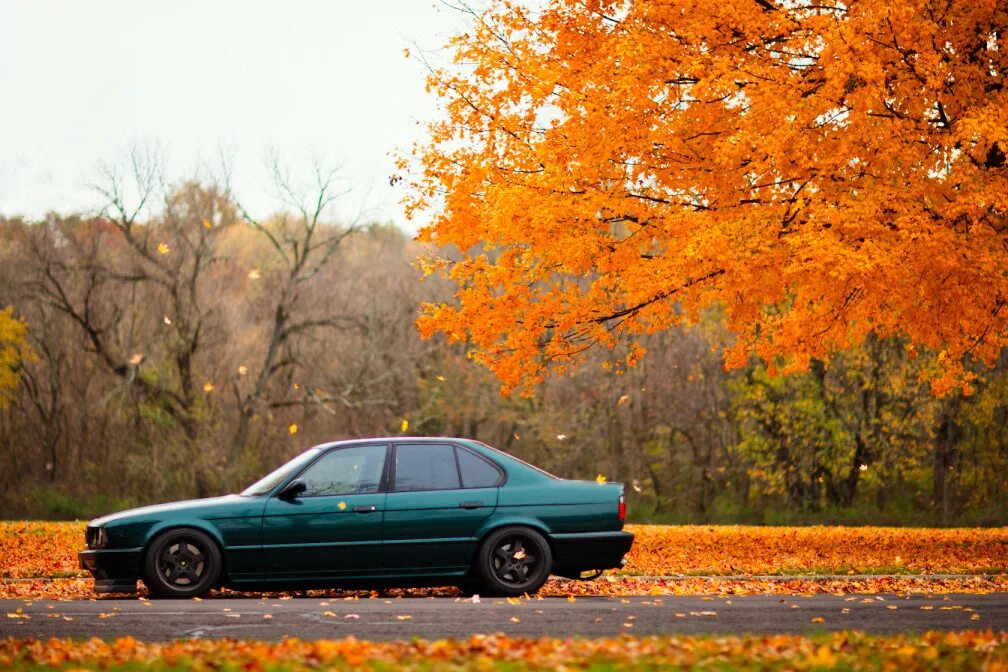 BMW e34 оранжевая. БМВ е34 осень. BMW e34 Green. BMW e34 Low. Е34 beamng