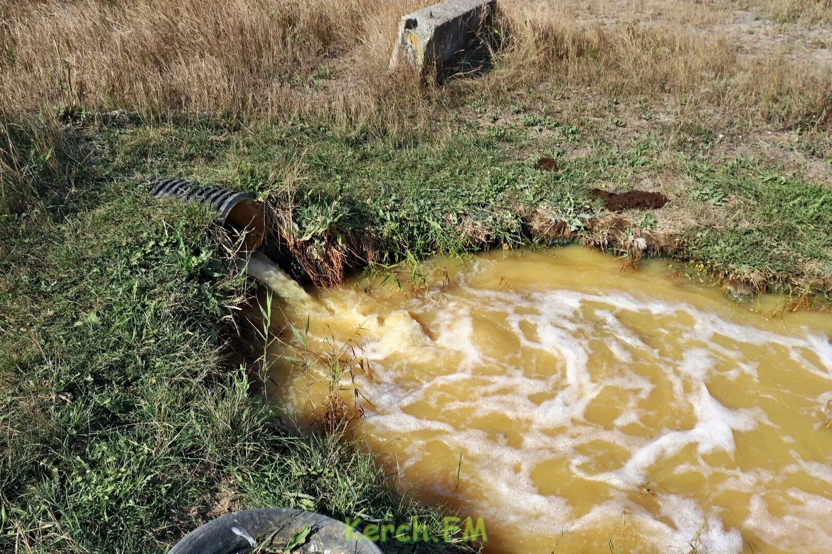 Грязная вода. Пруд на Керченской улице. Грязная вода фото.