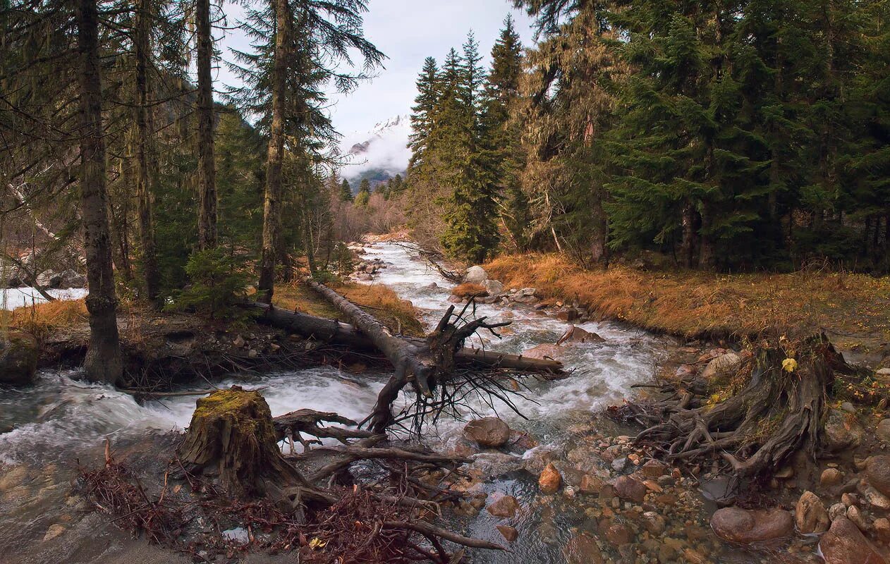 покорители сибири на реке фото. речной пейзаж.