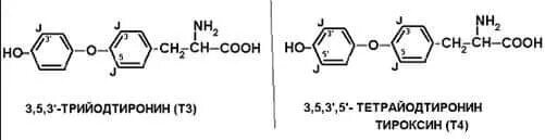 Т3 и т4 гормоны химическая структура. Гормон т3 и т4 химическое строение. Т3 и т4 гормоны формулы. Синтез т3.