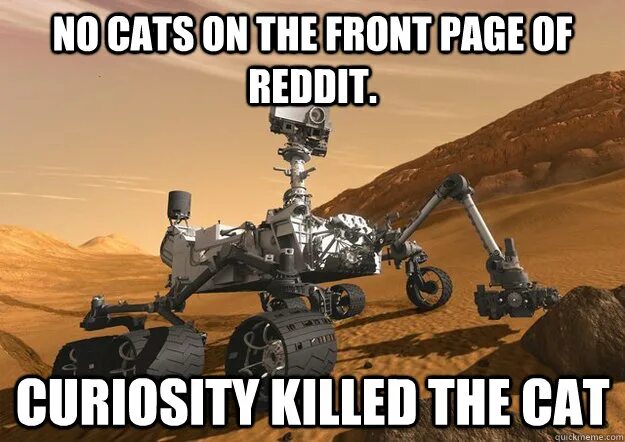 Curiosity killed the. Curiosity Killed the Cat. Curiosity Killed the Cat русский эквивалент. Пословица Curiosity Killed a Cat.. Curiosity ответ на вопрос.