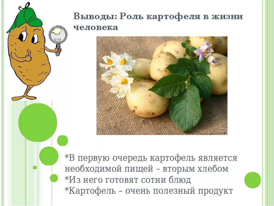 Чем полезна картошка для организма. Полезные свойства картофеля. Полезные качества картофеля. Чем полезен картофель