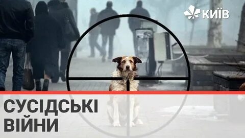 Отстрел зверей