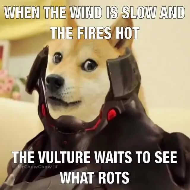 When the wind. When the wind is slow and the fire&#039;s hot. when the wind is slow and the fires hot the vulture waits to see what rots. when the wind is slow. when the when the.