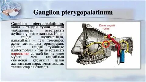 Қынаптары бар транни порно