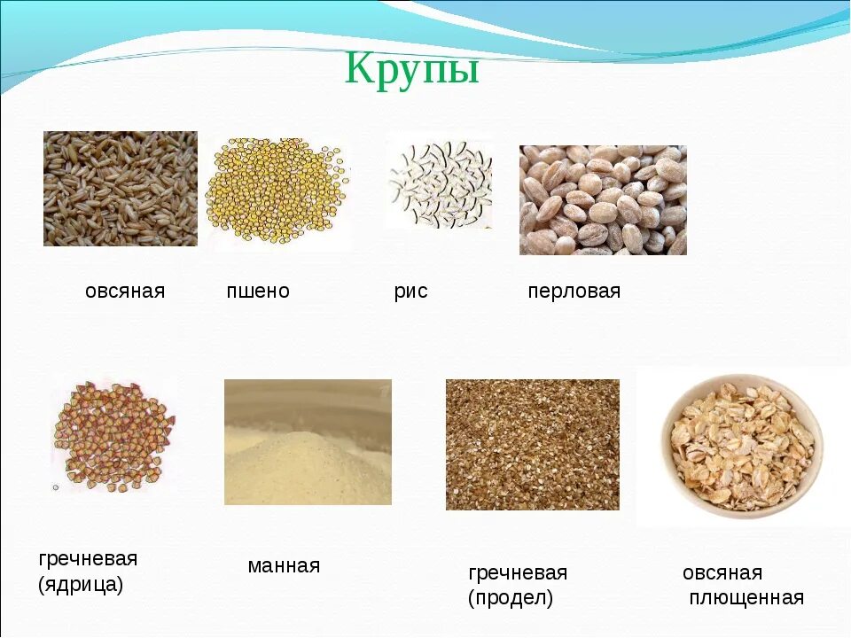 Как называется похожий на рис