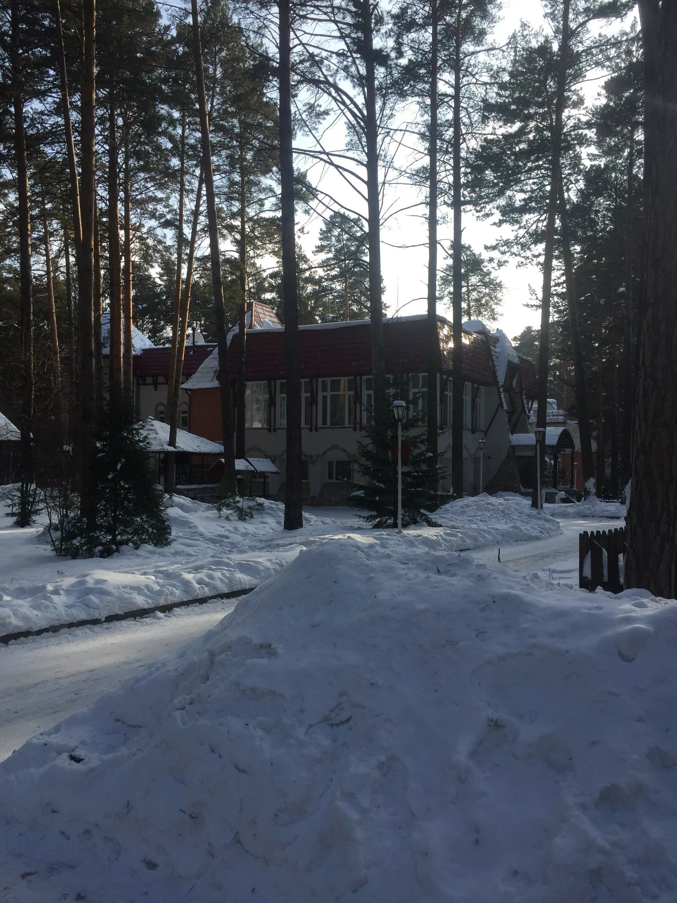 Хвойные новосибирск. Хвоя парк отель Бердск. Турбаза хвоя Бердск. Пансионат Былина хвоя. Парк-отель хвоя Бердск 6.