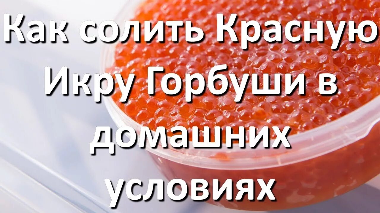 Рецепт красной икры посолить. Посолить икру горбуши в домашних. Какчолить икру. Засолка икры горбуши в домашних. Как засолить икру горбуши в домашних условиях.