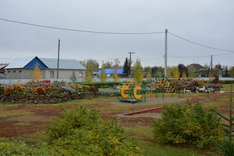 Достопримечательности села поспелиха алтайский край. Поселок поспелихинский. Болезни колоса озимой пшеницы. Ст озимая. Станция озимая алтайский край.