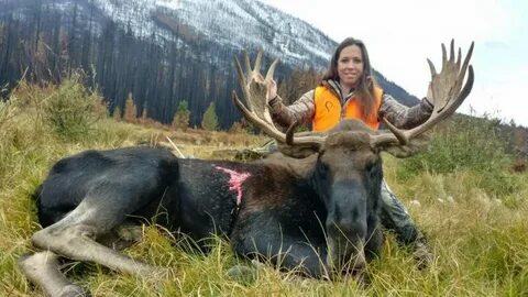 Montana Moose Hunts Related Keywords & Suggestions - Montana