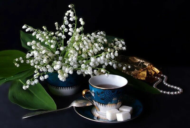 Чудесного весеннего вечера. Весенний вечер. Хорошего вечерочка и приятного настроения. Весенний вечер. Доброго веченнего вечерка.