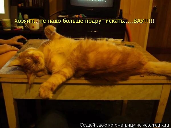 не надо я больше не буду. не надо я больше не буду. на тот большак на перекресток текст песни. больше не пью и меньше тоже. мне ничего не надо мем.