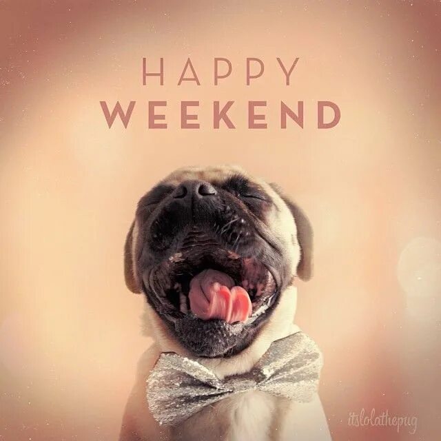 Weekend выходной. Happy weekend картинки. Картинки funny weekend. Хорошего уикенда. Weekend Happy funny.