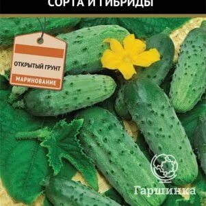 Интернет магазин гаршинка отзывы