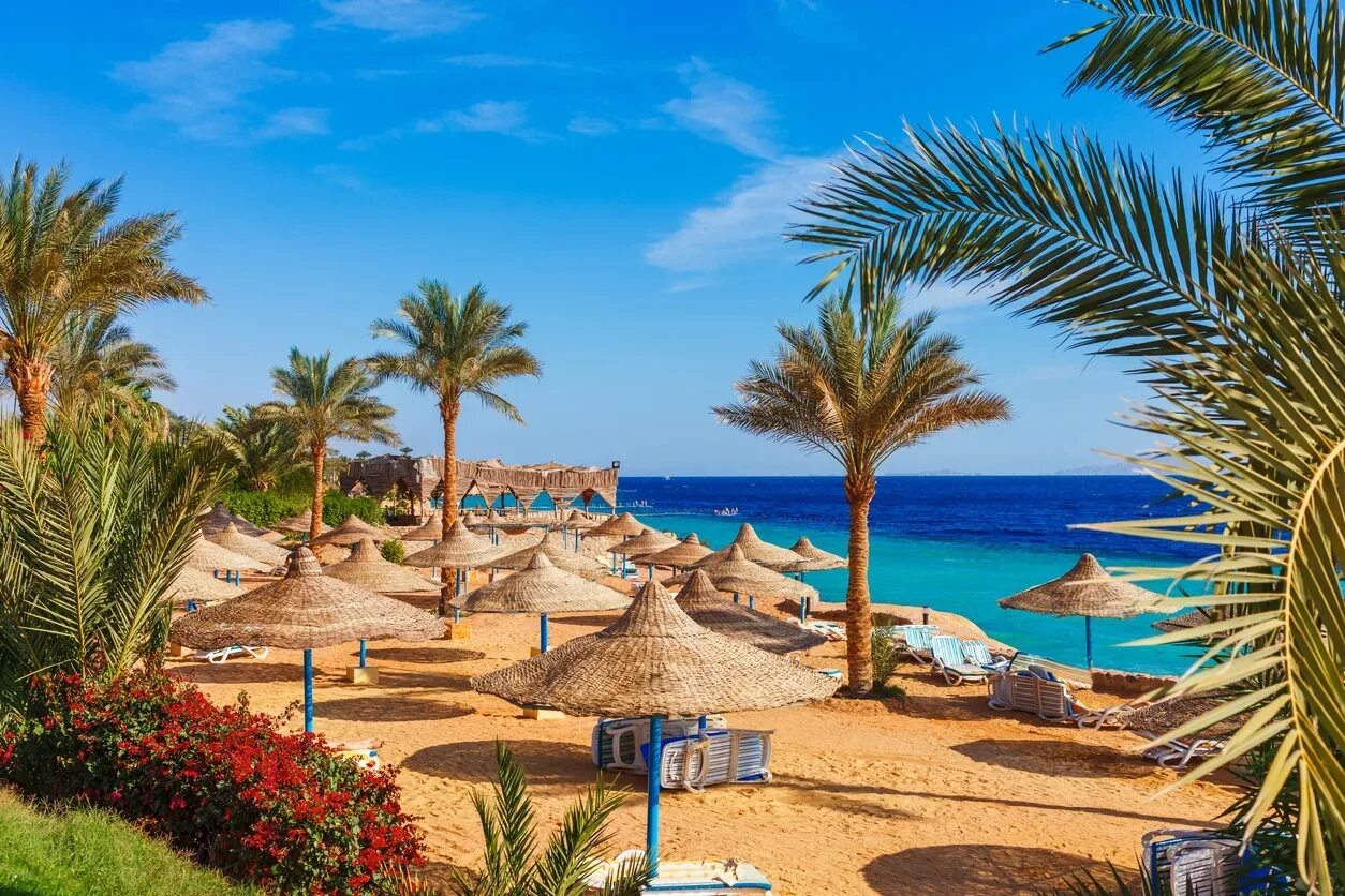 Шарм эль шейх время. Шарм-эш-шейх курорты египта. пляж hema шарм эль шейх. город-курорт шарм-эль-шейх (юг синайского полуострова). шарм эль шейх оон.