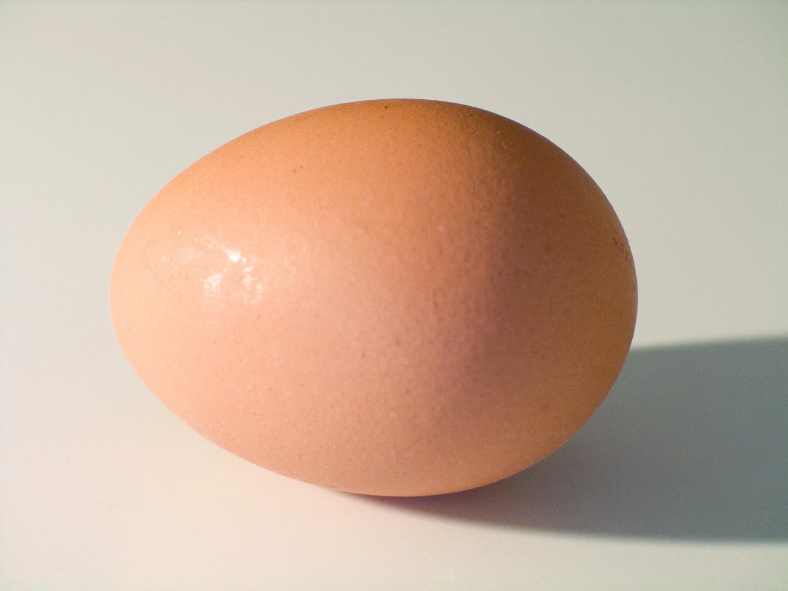 Купить челябинское яйцо. Яйцо куриное. Яйцо куриное одно. Изображение яйца. Яйцо референс.