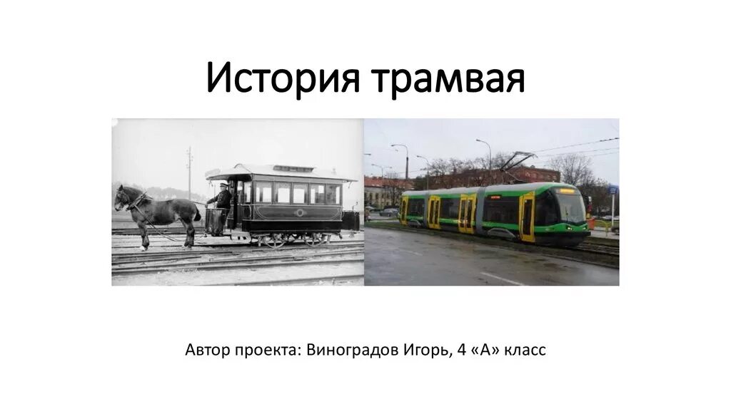 Трамвай 3 история. Животное в трамвае. Трамвай т3. Трамвай 3 санкт-петербург. Трамвай 3 история.