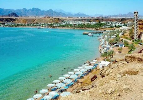 Beach albatros sharm отзывы