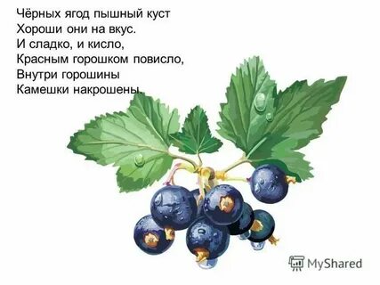 Маленькая матрешка беленькое сердечко отгадка
