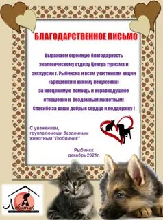 Помощь животных рыбинск