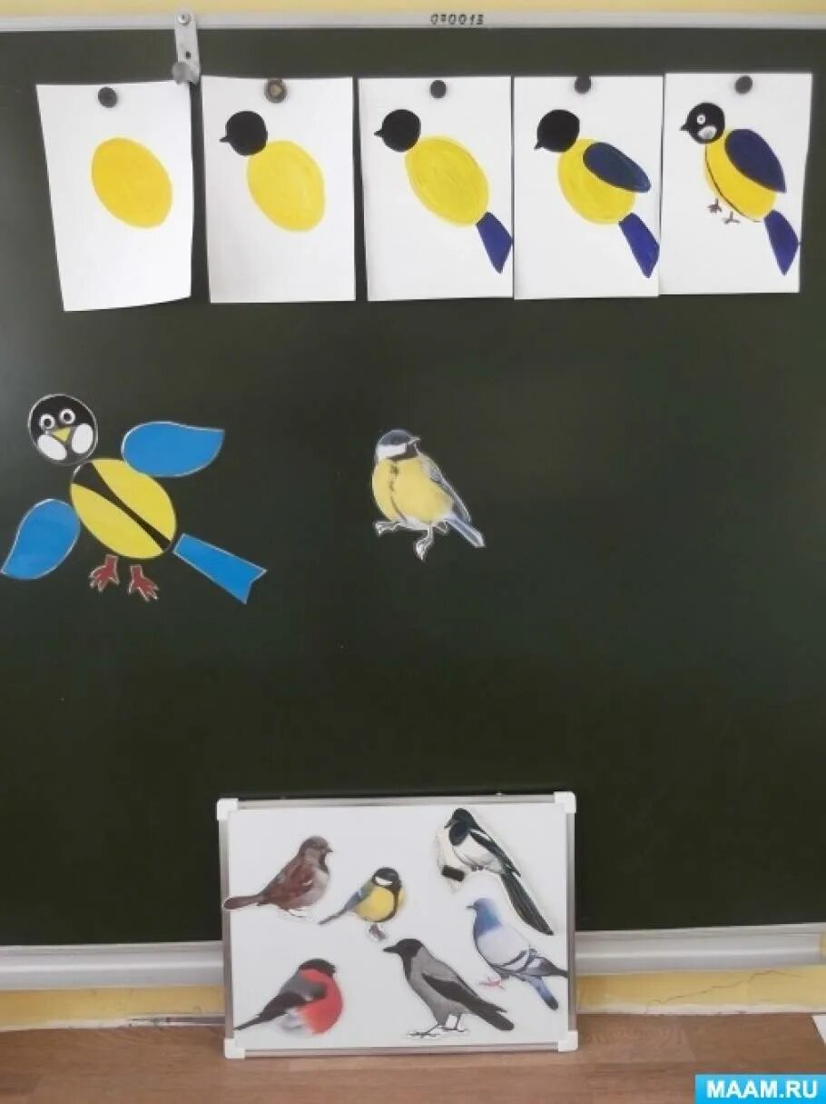 Рисование синица средняя группа. Рисование птицы в средней группе. Рисование птички в средней группе. Рисование птицы в ср гр. Фцкм птицы средняя группа