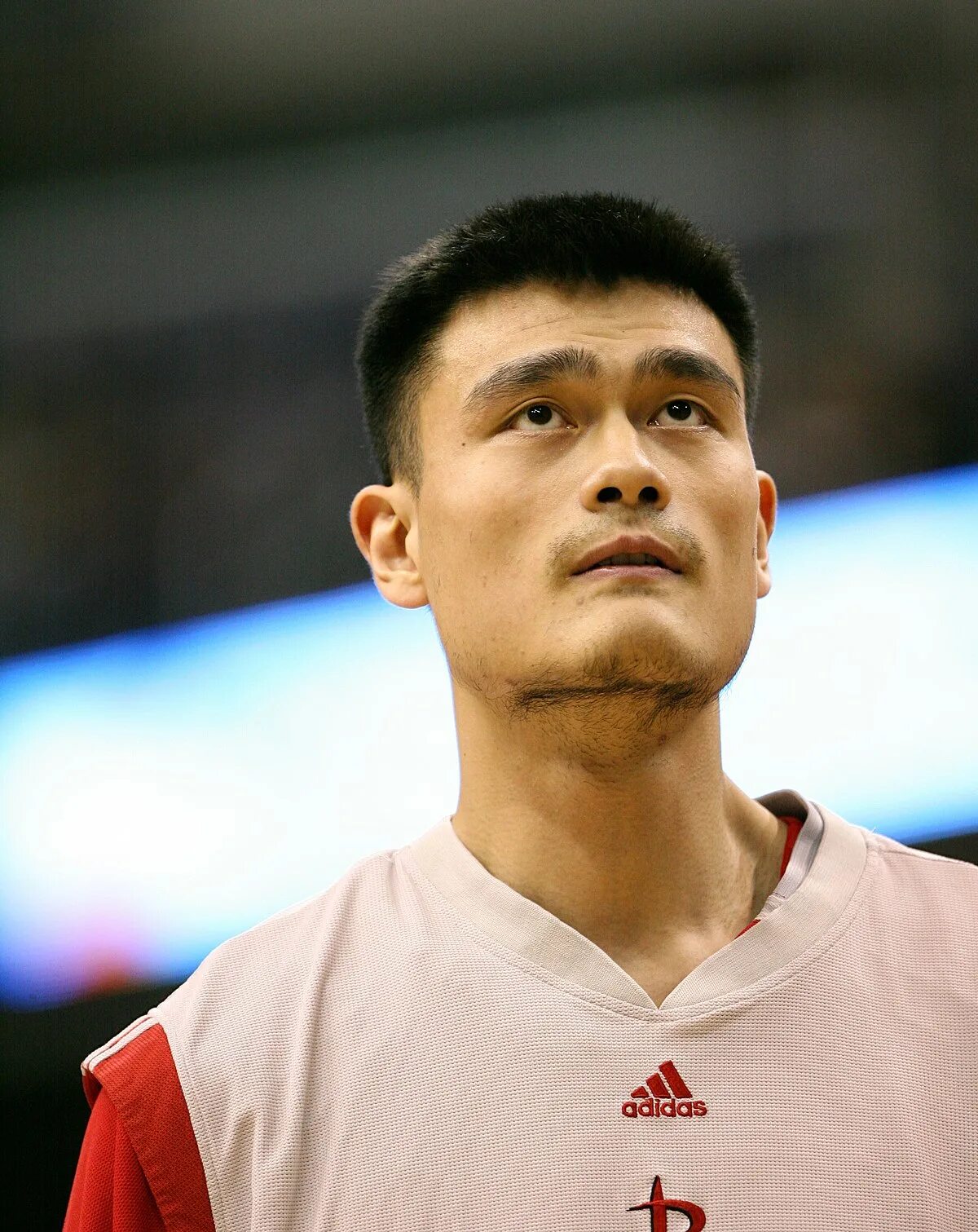 Yao ming. Яо мин. Йао чин. Лао минг. Яо Яченг.