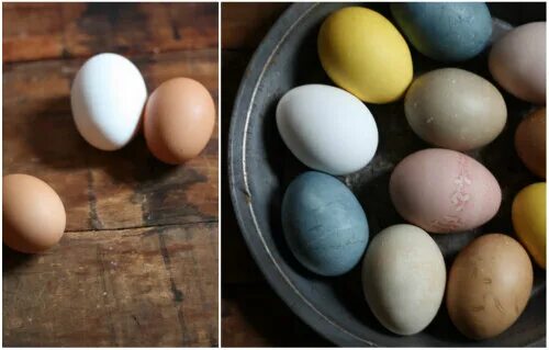 Можно ли красить коричневые яйца. Натуральные красители для яиц. Коричневые яйца покрасить. Перепелиные яйца крашенные. Темные яйца на Пасху.