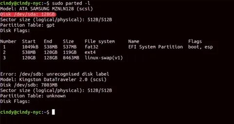Bash error