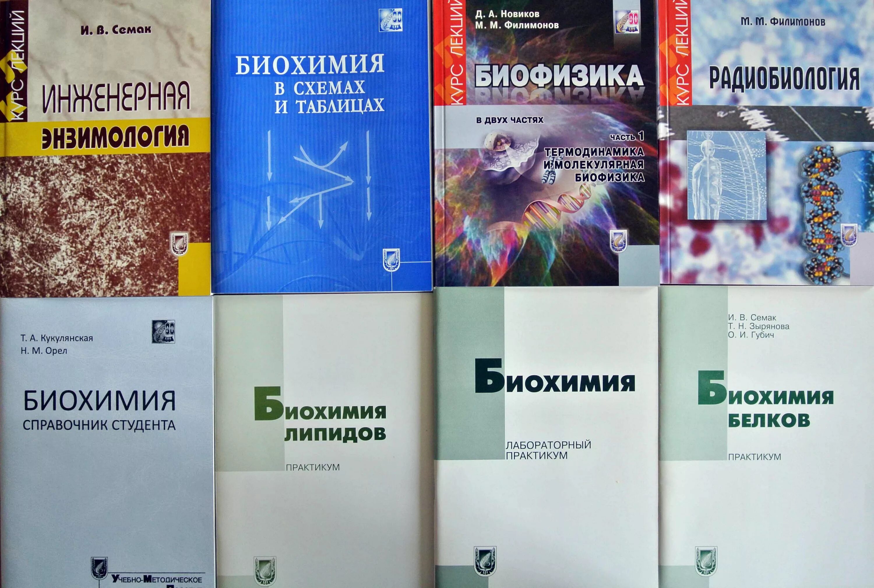 биохимический практикум. общая биологическая химия. перечислите разделы биохимии:. биохимия, предмет изучения, разделы биохимии. важные термины в биохимии.