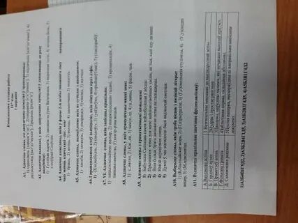 Тэставая работа па беларускай мове
