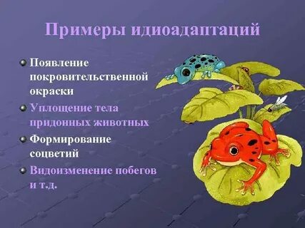 Идиоадаптация примеры у животных