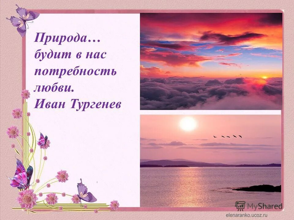 природа будет в нас потребность любви как понять. зимний рассвет. озеро байкал 2021 зимой. природа будит в нас потребность любви. тропинка в лесу.
