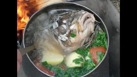 Уха из голов сома