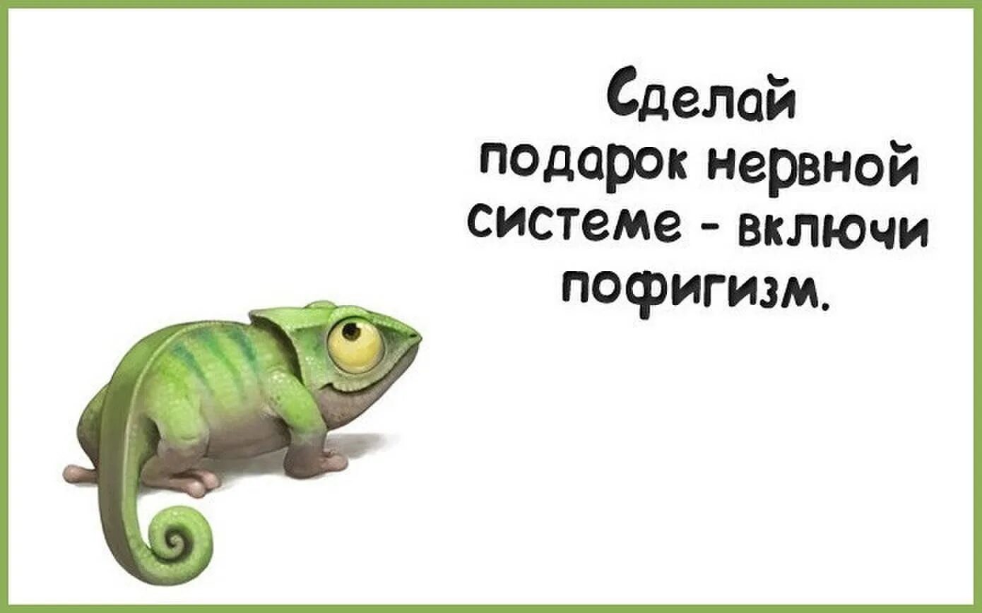 Включи жишь. Цитаты про пофигизм. Смешные цитаты про пофигизм. Высказывания про нервную систему. Сделай подарок нервной системе включи пофигизм.