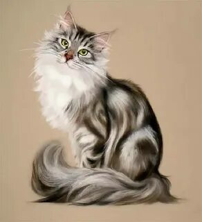 Красивые кошки картины