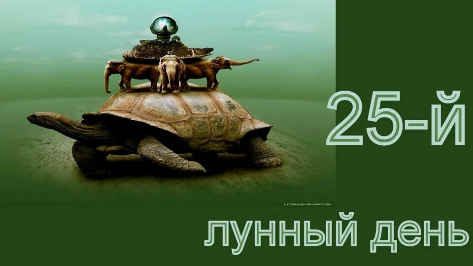 25 лун день