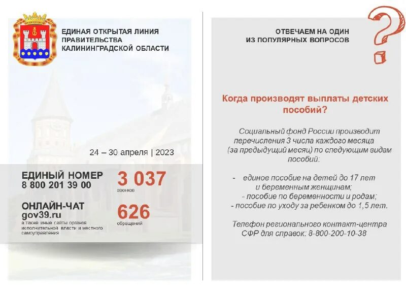 мфц калининград шегеда. мфц калининград. зам директора мфц калининград. мфц калининградская обл. мфц калининград.