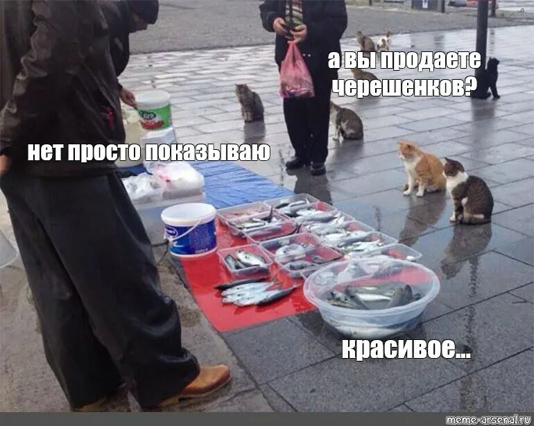 Рыбу продаете нет показываю красивое. Мем с котом рыбов продаете. мем кошек продаете? красивые. рыба мемо. рыбный запах мем.