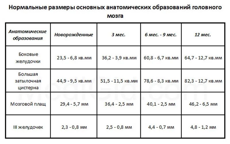 Нормы боковых желудочков по неделям