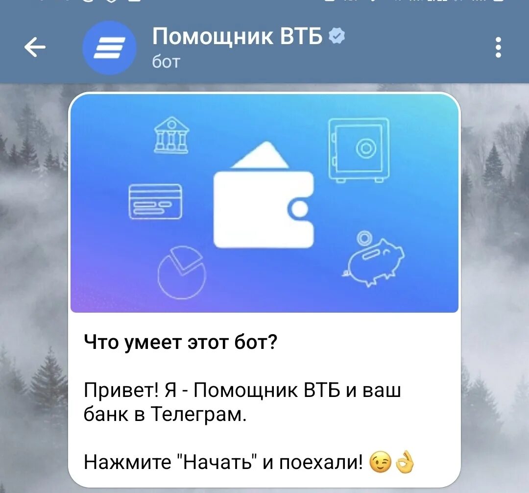 Бот втб банка. Втб в телеграмме. банк бот. втб запустит цифровой банк в telegram. цифровой банк.